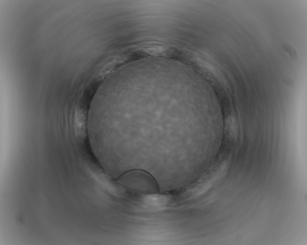 X0000114590234200911091303