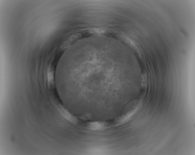 X0000114590238200911091303