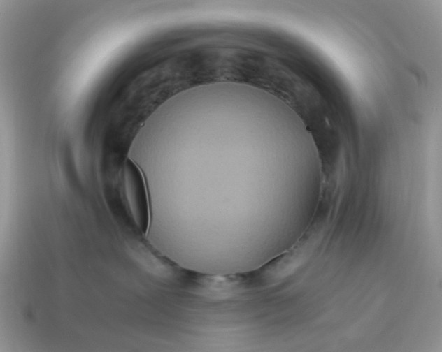 X0000114590239200911091303