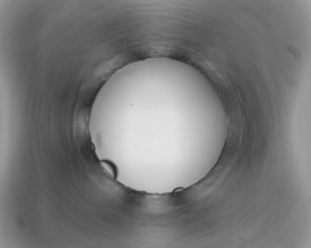 X0000114590240200911091303