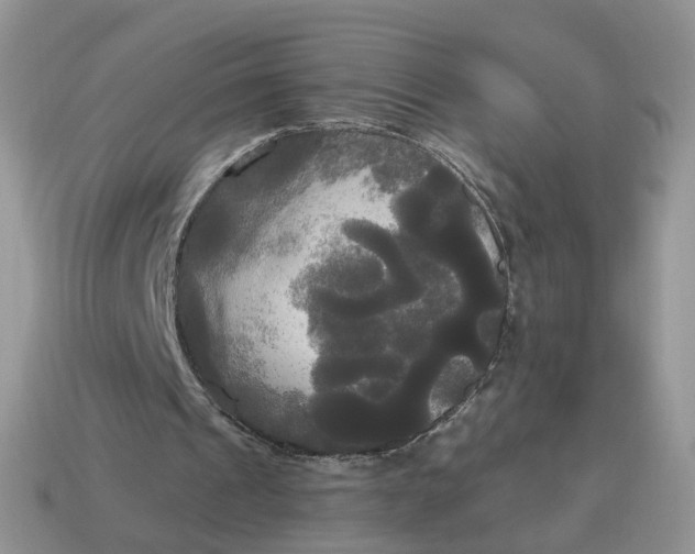 X0000114590241200911091302