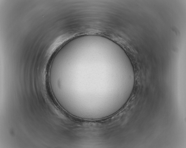 X0000114590242200911091302