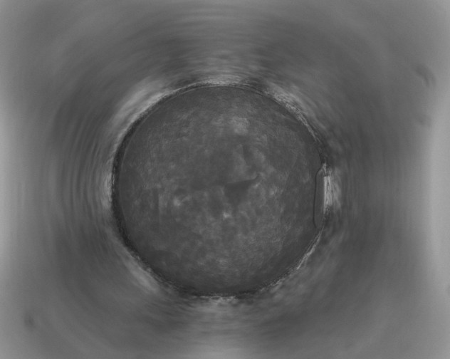 X0000114590243200911091302