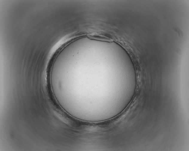 X0000114590246200911091302