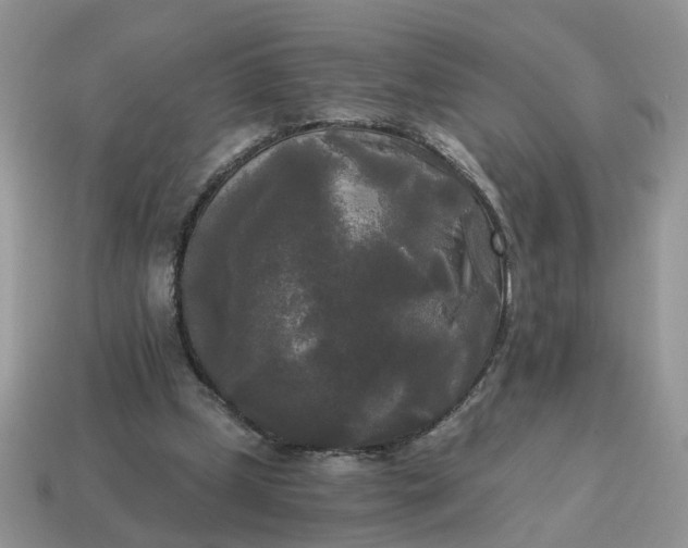 X0000114590249200911091302