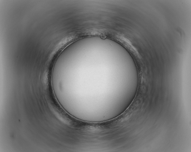 X0000114590250200911091302