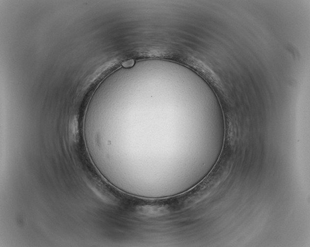 X0000114590251200911091302