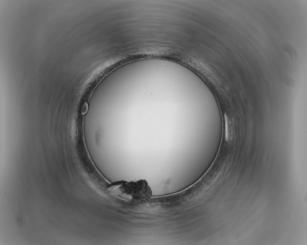 X0000114590252200911091302