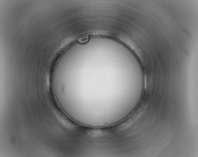 X0000114590253200911091302