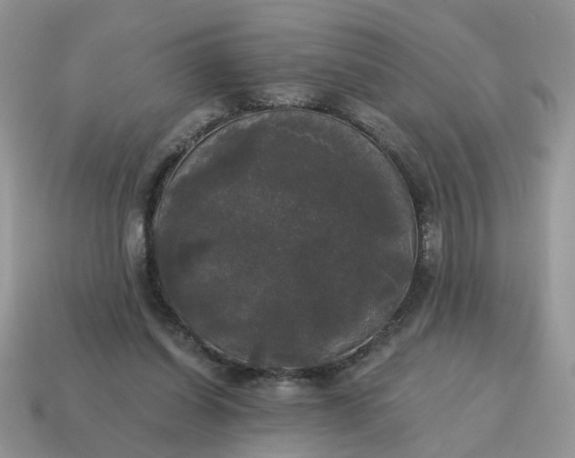 X0000114590254200911091302