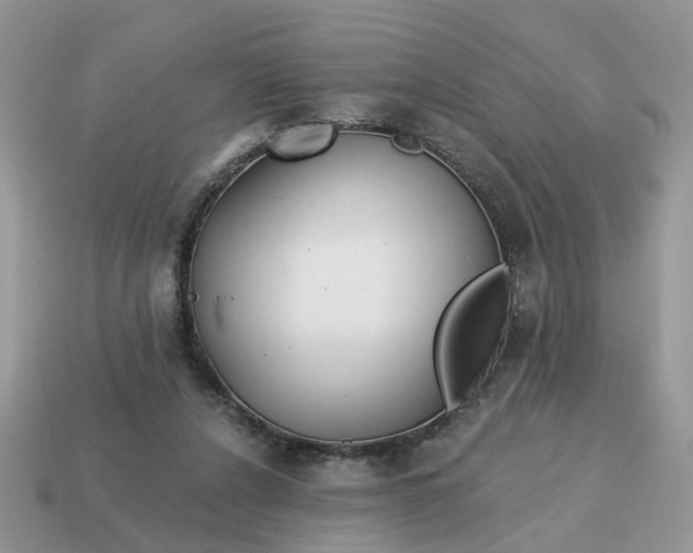 X0000114590256200911091302