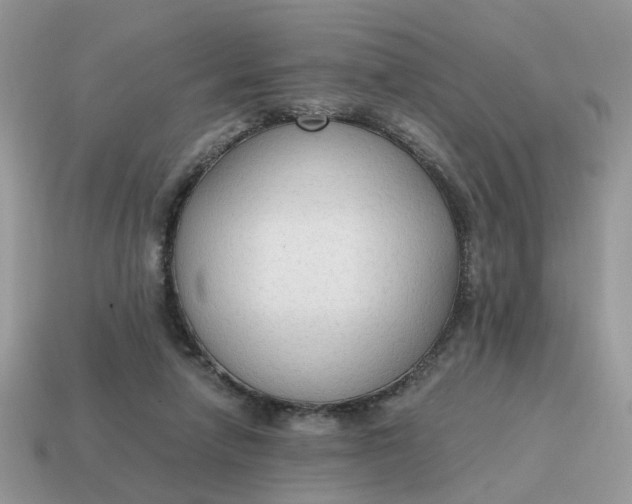 X0000114590258200911091302