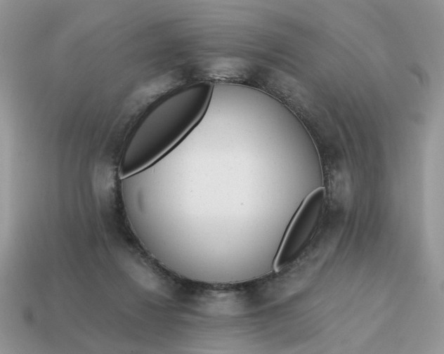 X0000114590260200911091302