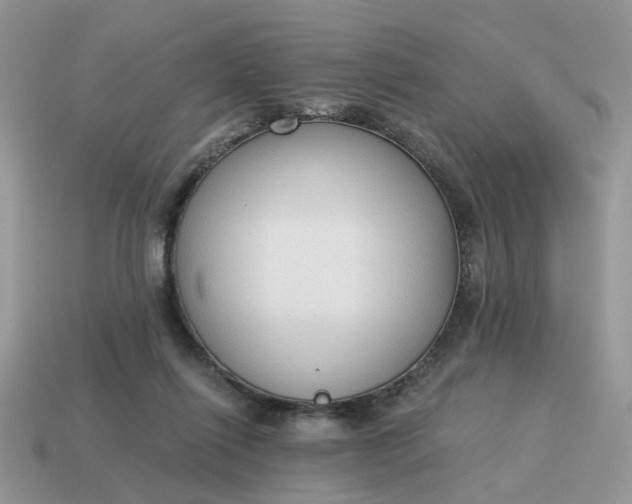 X0000114590262200911091302