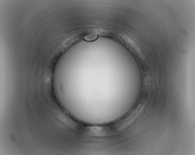 X0000114590265200911091302