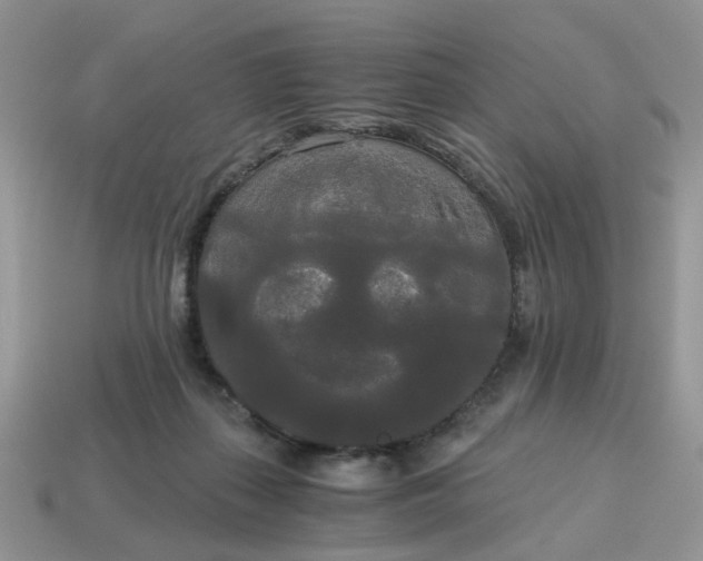 X0000114590267200911091302