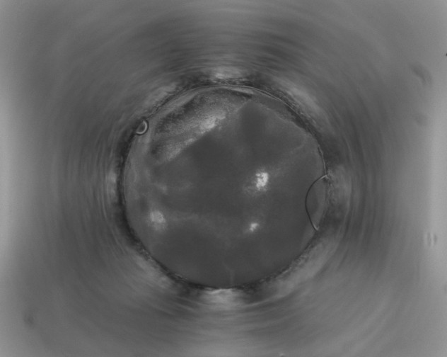 X0000114590269200911091302