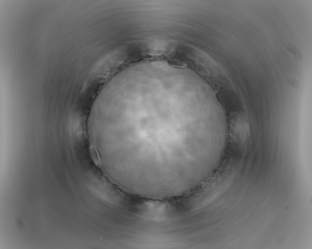 X0000114590272200911091302