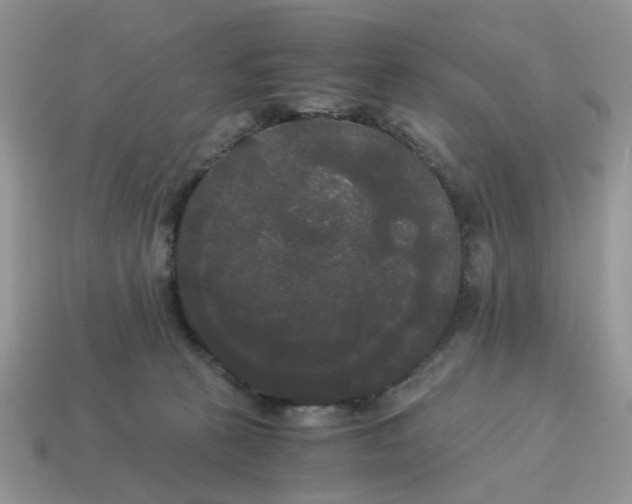 X0000114590273200911091303