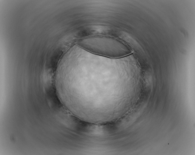 X0000114590276200911091303