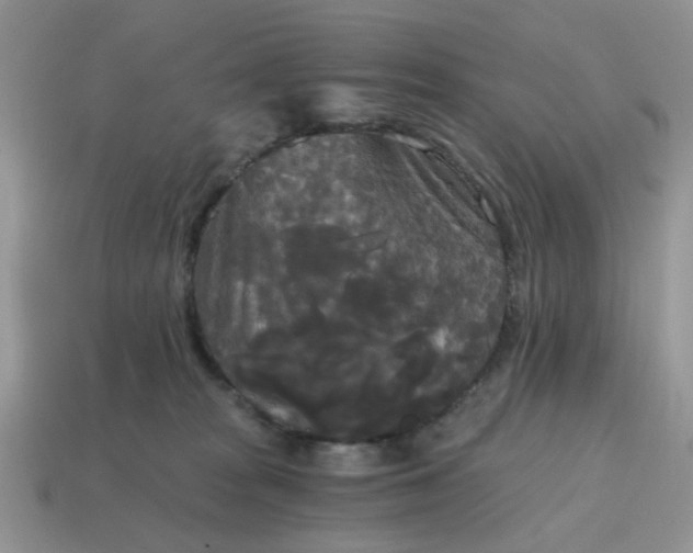 X0000114590277200911091303