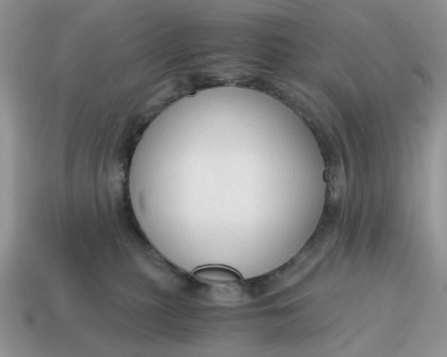 X0000114590279200911091303