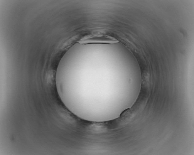 X0000114590280200911091303