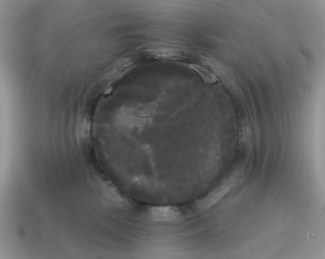 X0000114590281200911091303