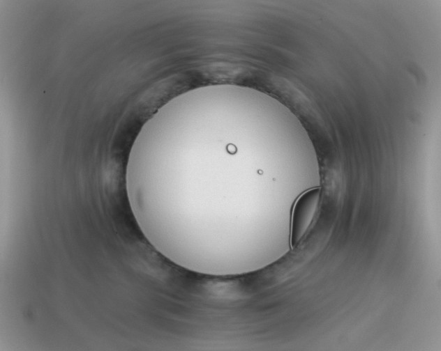 X0000114590283200911091303