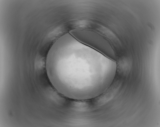 X0000114590284200911091303