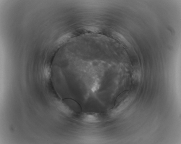 X0000114590285200911091303