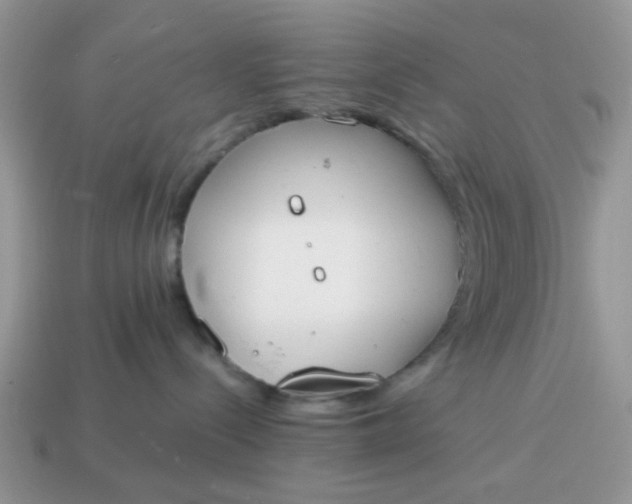 X0000114590288200911091303