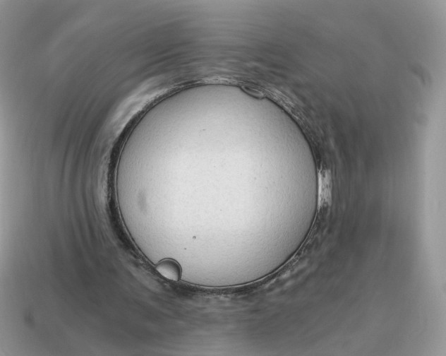 X0000114590291200911091302