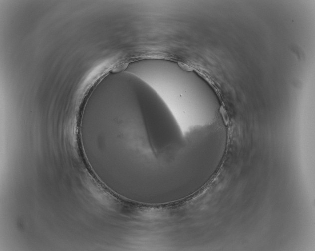 X0000114590293200911091302