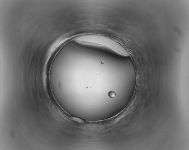 X0000114590294200911091302