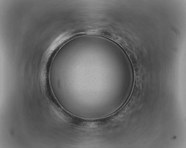 X0000114590295200911091302