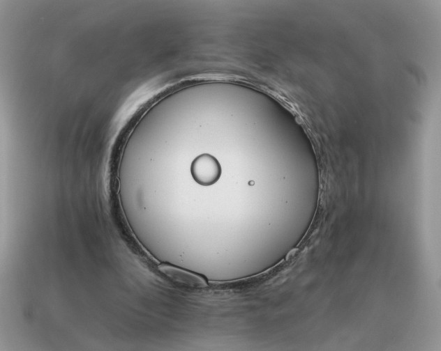 X0000114590296200911091302