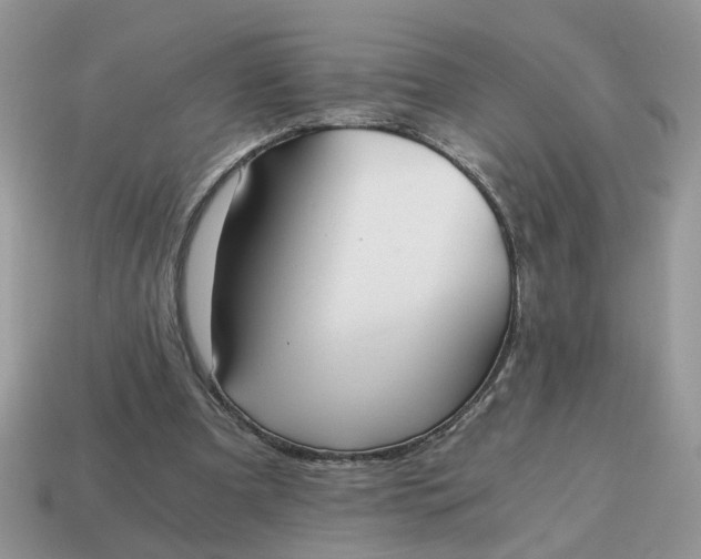 X0000114590297200911091302