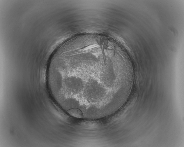 X0000114590299200911091302