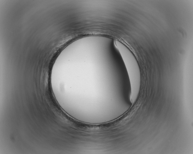 X0000114590301200911091302