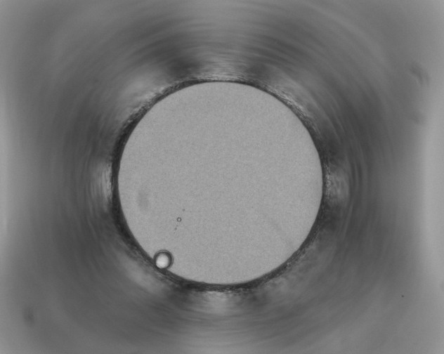 X0000114590302200911091302