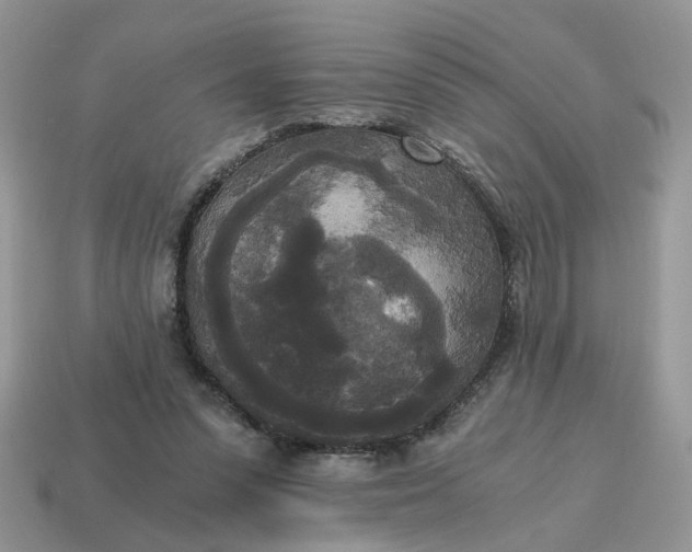 X0000114590303200911091302