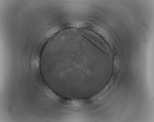 X0000114590305200911091302