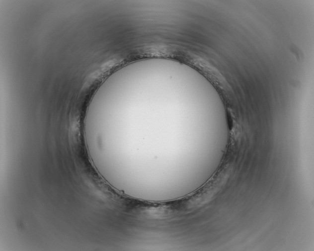 X0000114590306200911091302