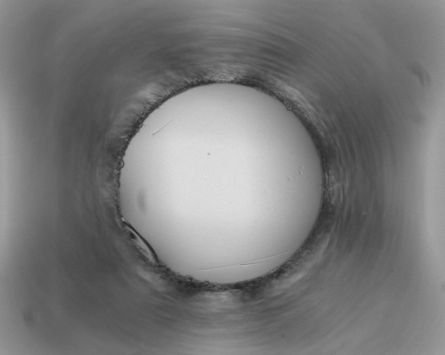 X0000114590307200911091302