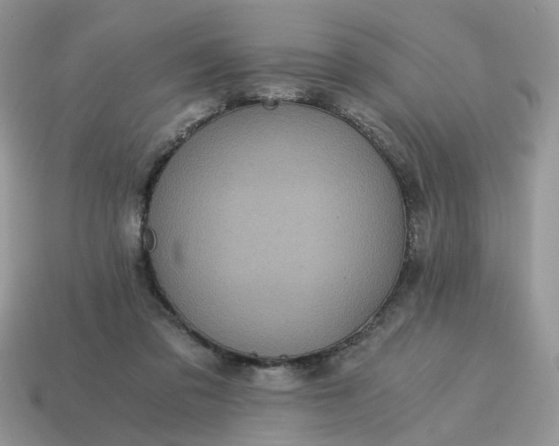 X0000114590309200911091302