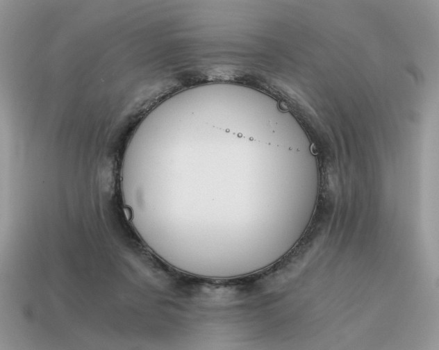 X0000114590311200911091302