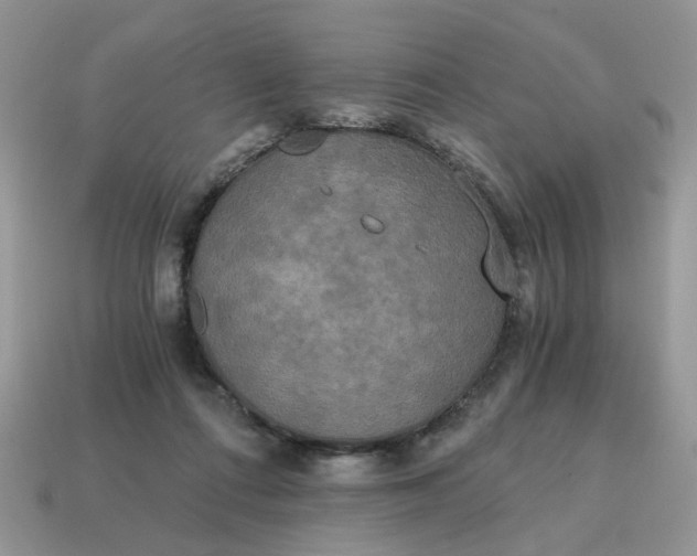 X0000114590312200911091302