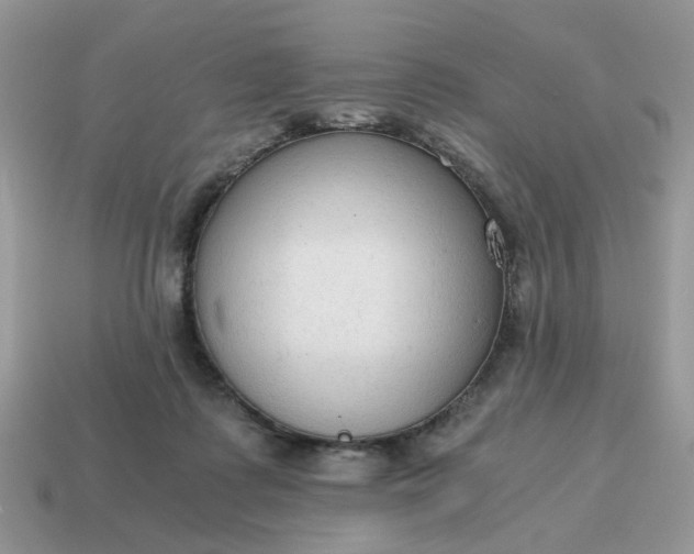 X0000114590315200911091302