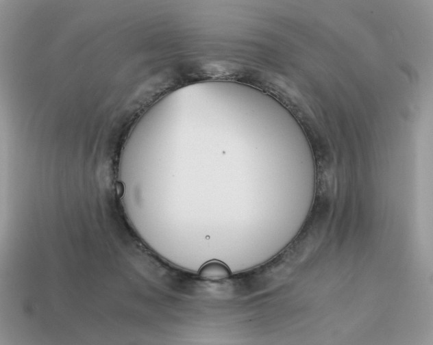 X0000114590317200911091302